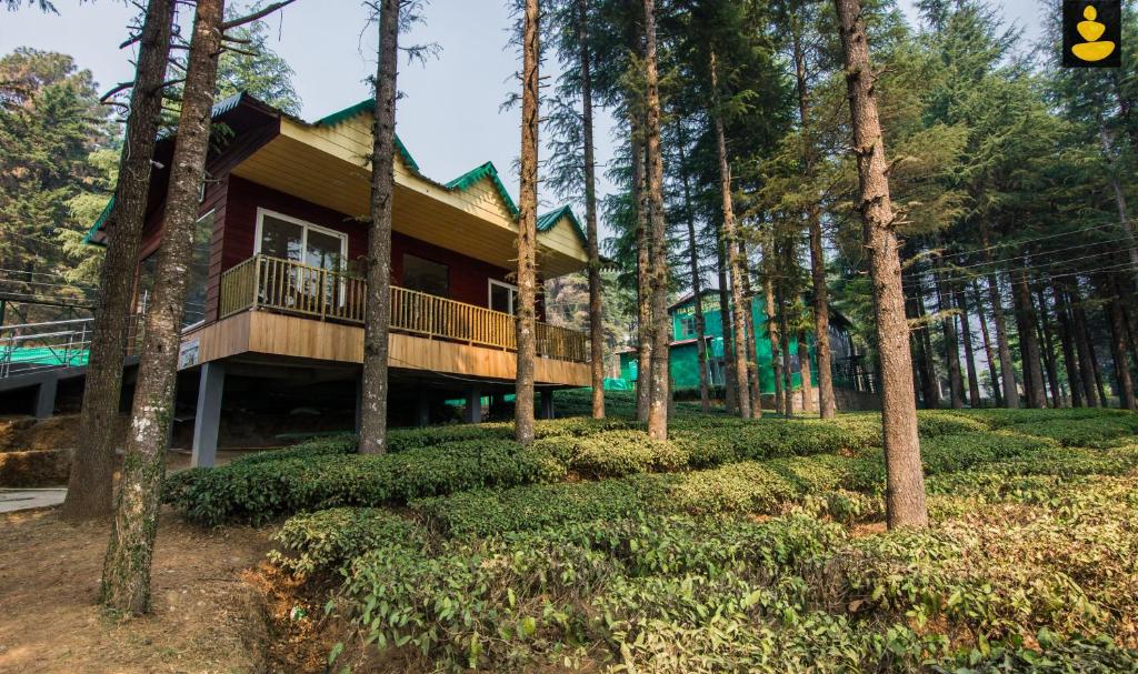 LivingStone Hilltop Cottage photo