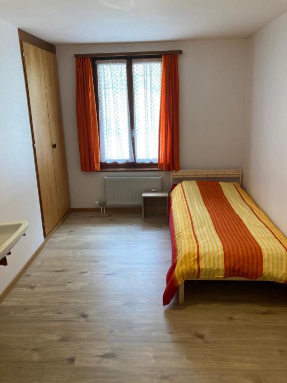 Hotel du Gd-St-Bernard photo