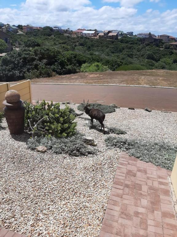 Seesterkloof photo