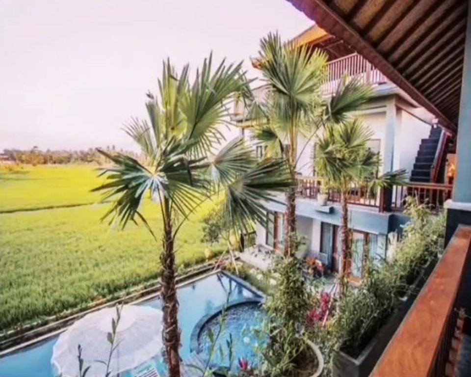 Villa Silas photo