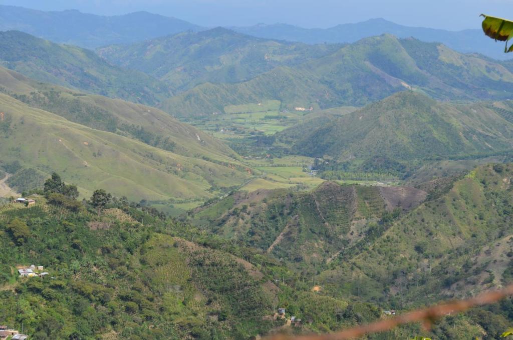 Surrounding environment