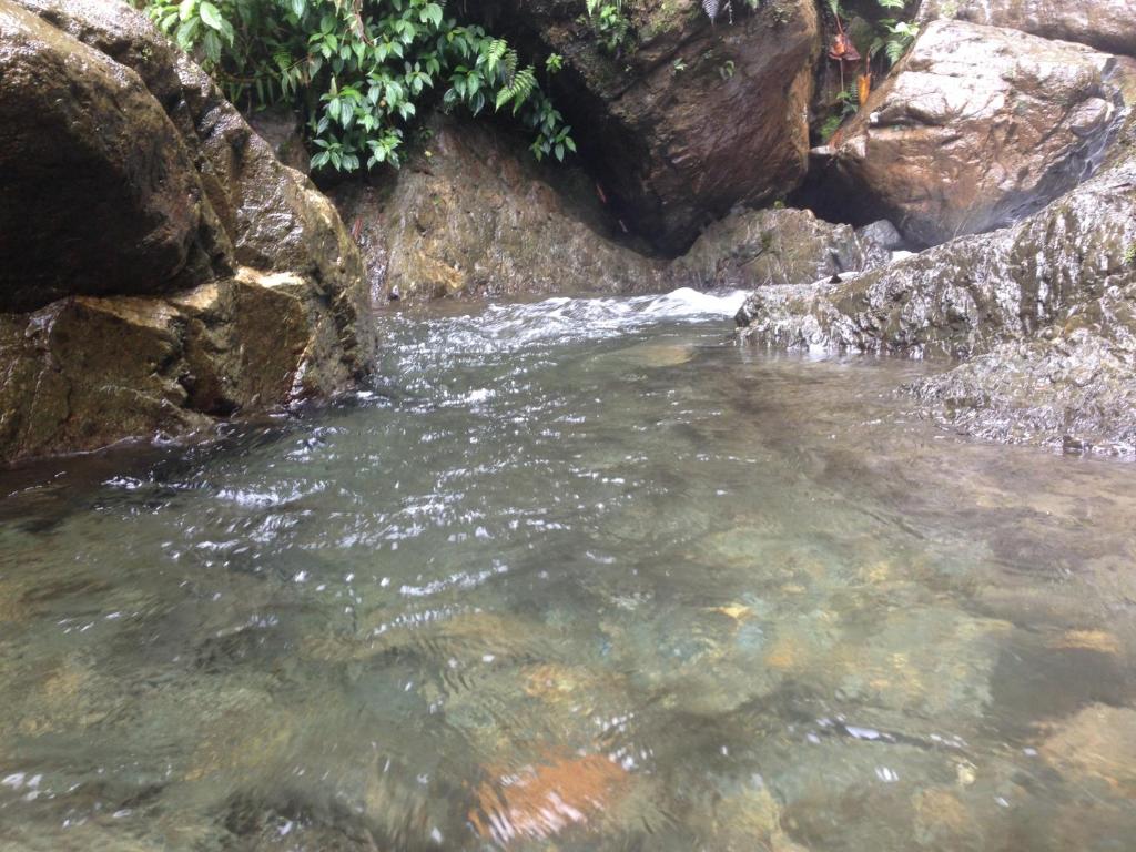 Sports and activities