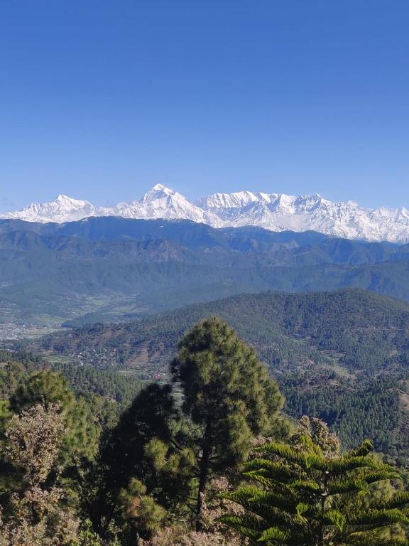Vamoose Himvadi Resorts photo