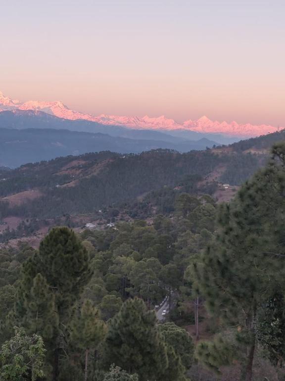 Vamoose Himvadi Resorts photo
