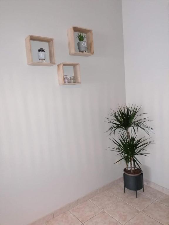 Superbe appartement de 65m2 proche de tout photo