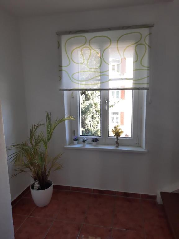 Green Hill Apartments - Feldkirch photo