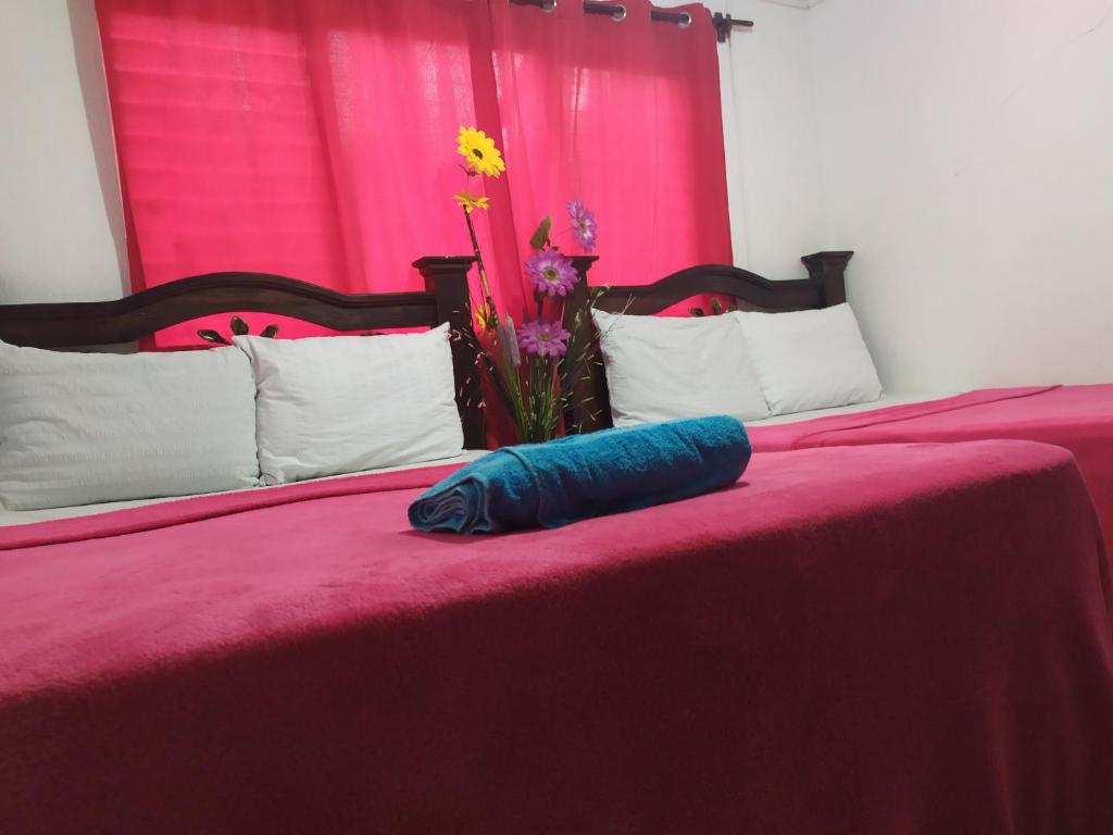 mayacolonial photo
