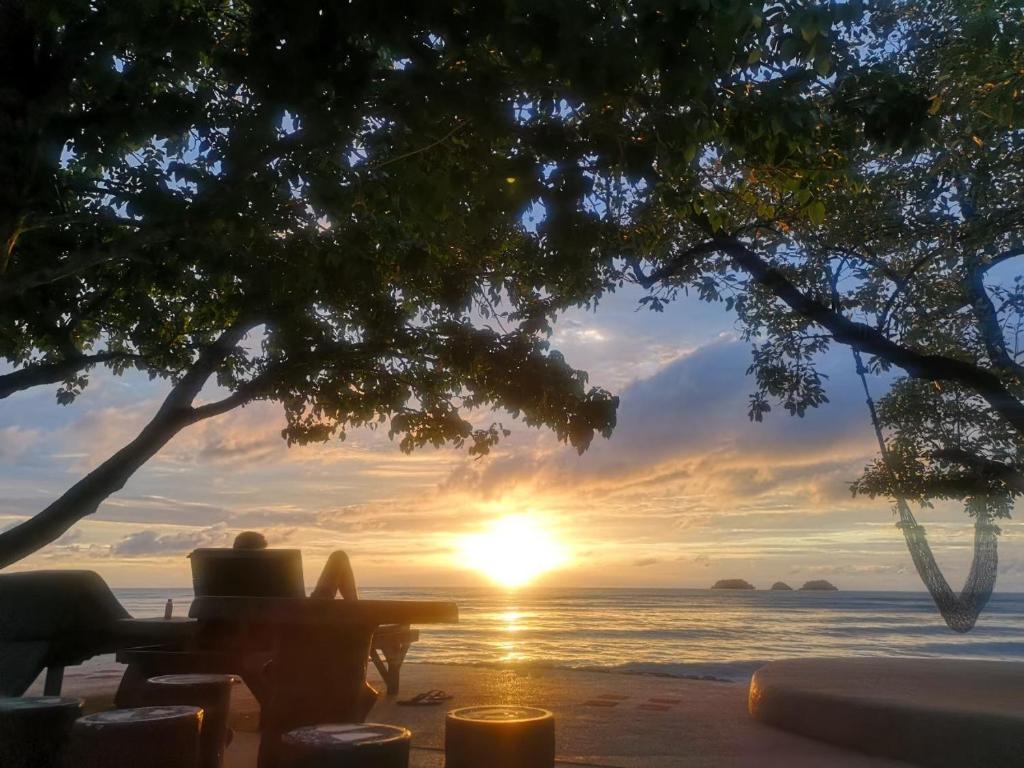 View