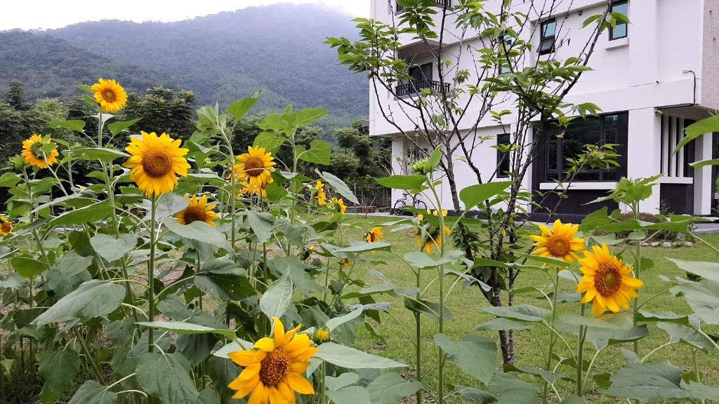 Hua Lian Sin Su Homestay 호텔 이미지 2