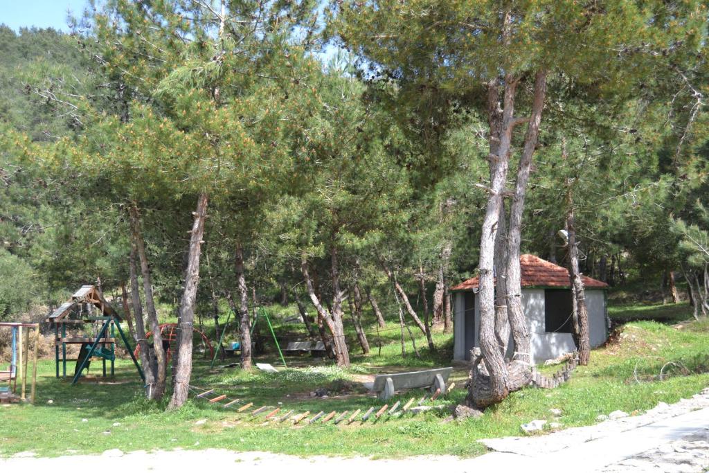 Surrounding environment