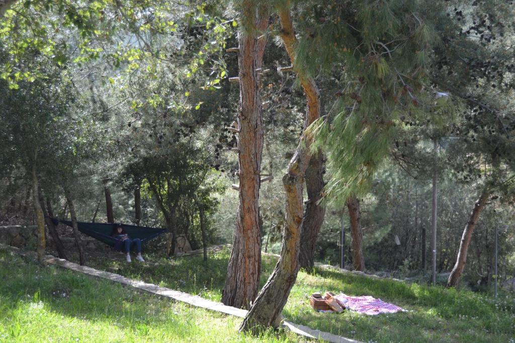 Surrounding environment