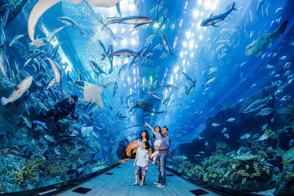 Attractions