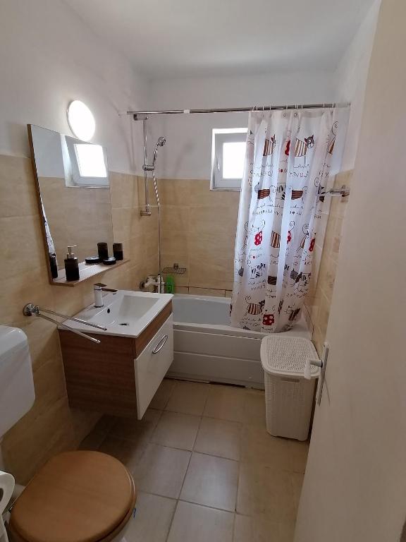 Piata Victoriei 2 Room Apartment photo