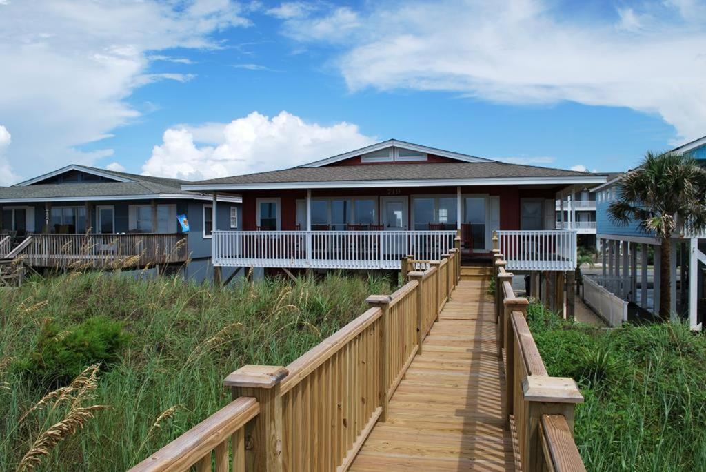 Dowitcher, Holden Beach