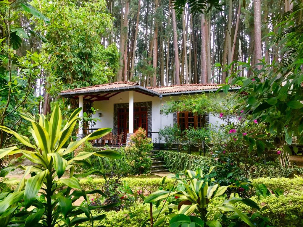Gimanhala Diyathalawa — Hotel in Diyatalawa