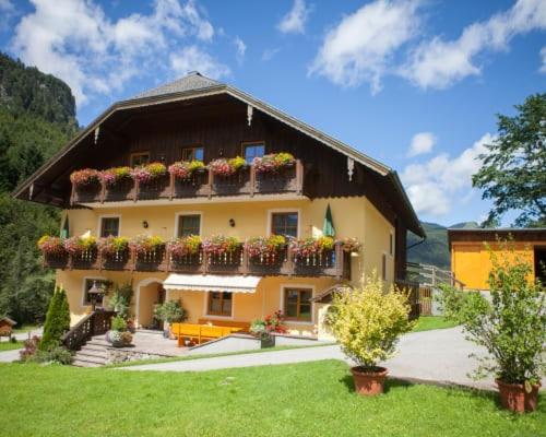 Bio-Bauernhof Vordergrubenbach - Familie Oberascher - 4