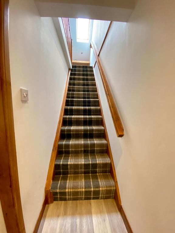 Sheraton Apartments photo
