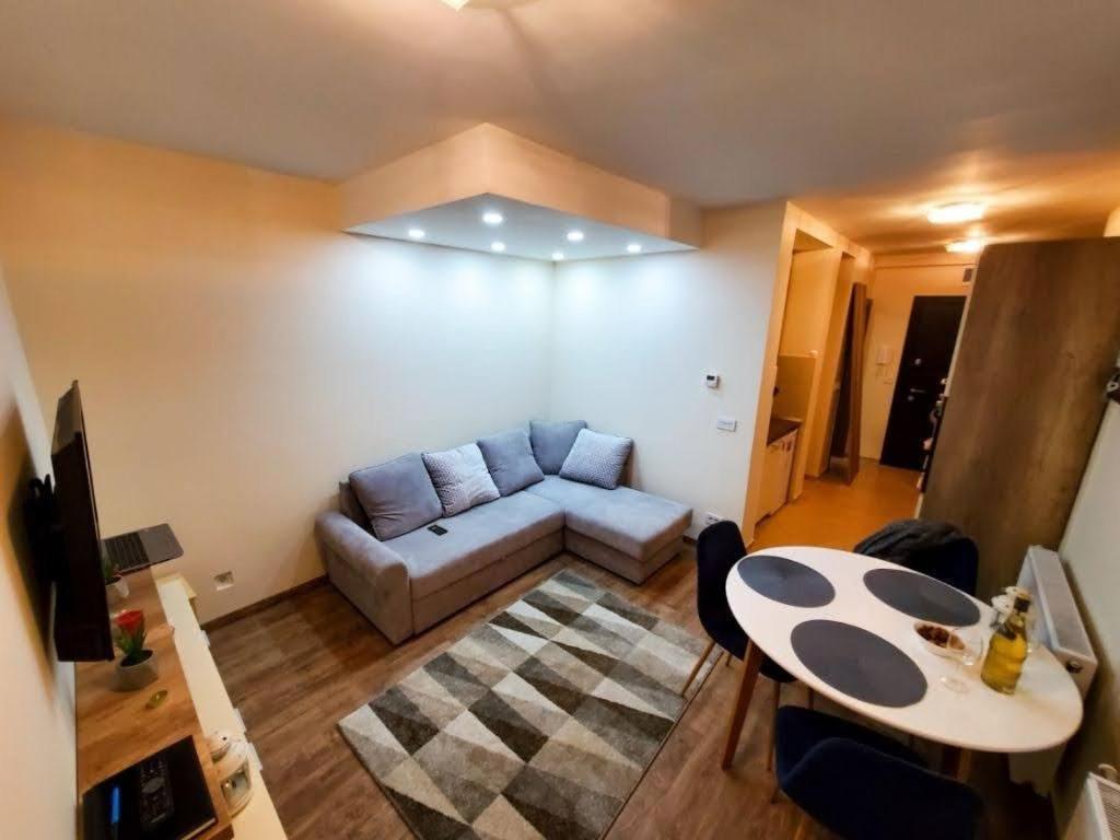 Vila Srna apartman Vekic Zlatibor - 4
