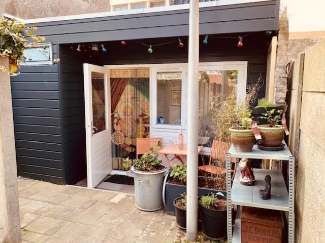 King almost by the sea, Zandvoort