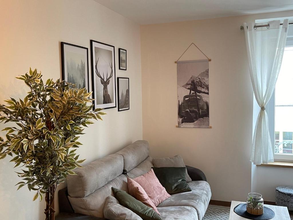 Appartement tout confort haut de gamme en plein centre ville - 5