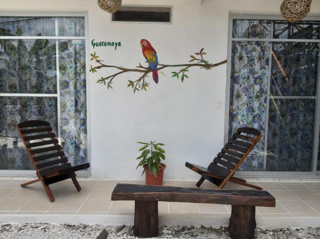 La Casa de las Aves - 5