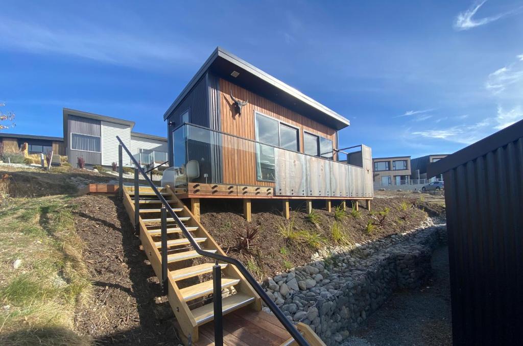 Longhorns, Lake Tekapo