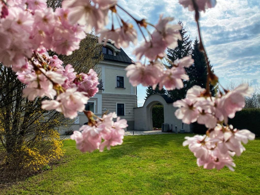 Hotel Villa Necas Zilina photo