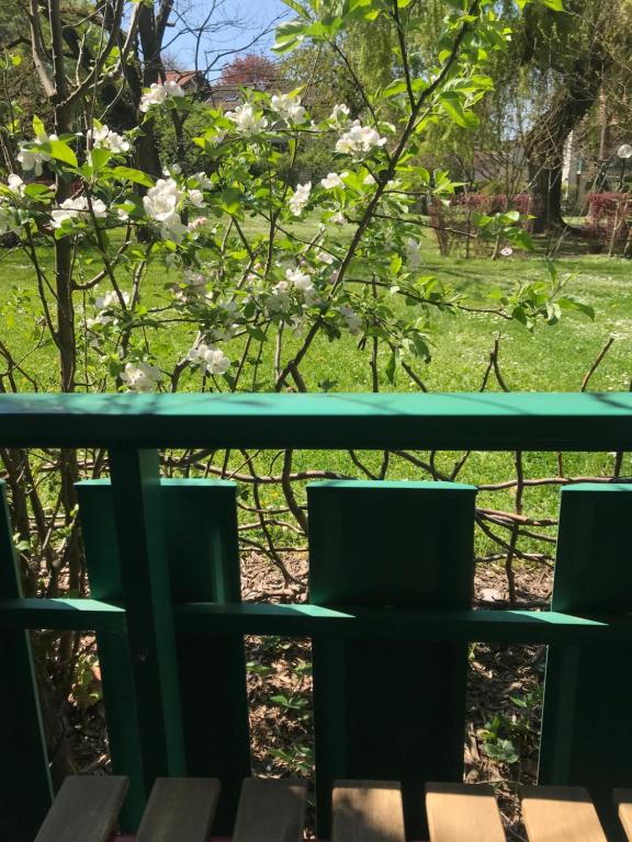 Geneva Bernex - shared appartement roomate homestay - tramway 14 TPG - ViaRhona photo