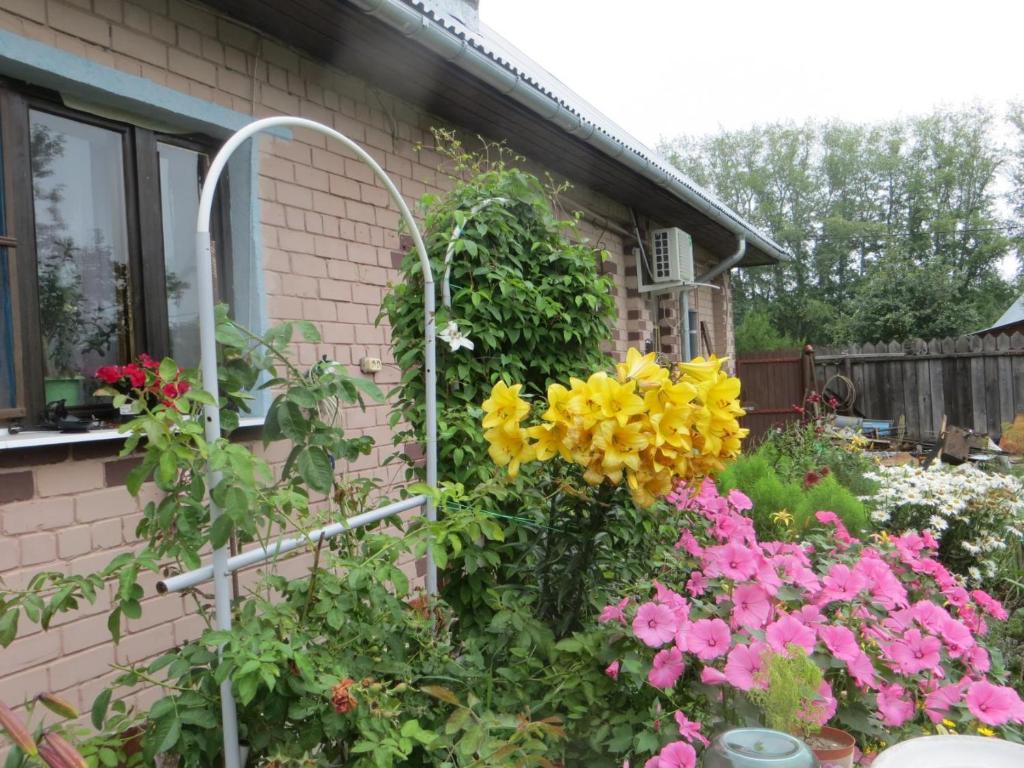 Guest House Valentain photo
