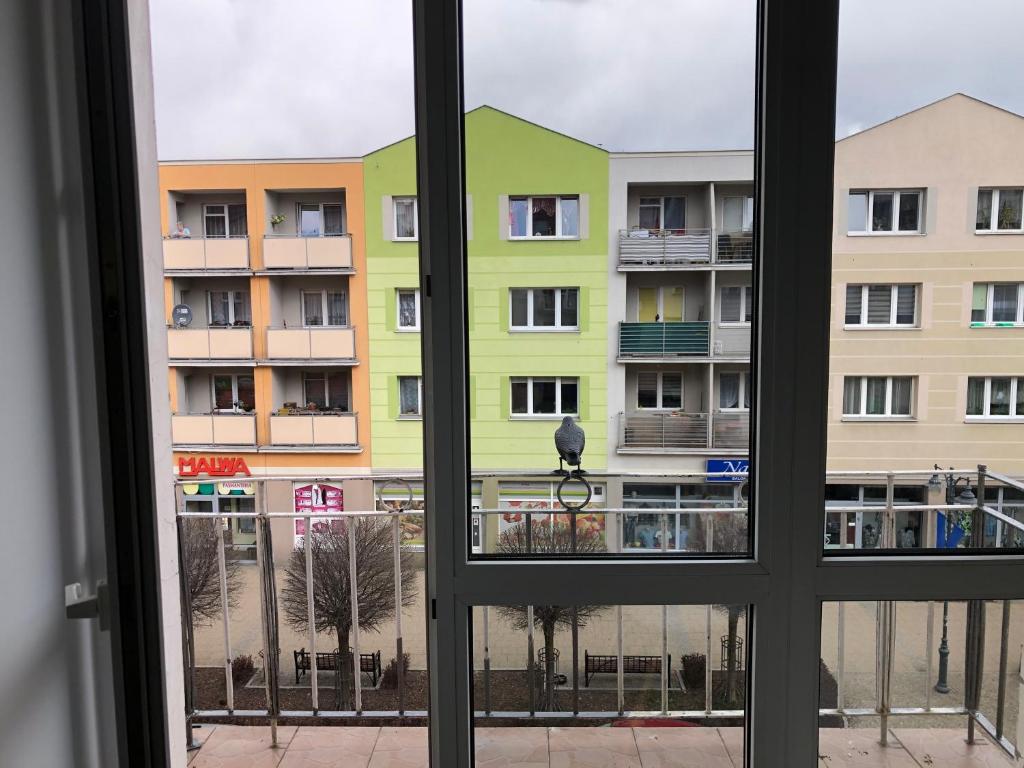 Apartament Kosciuszki 전경