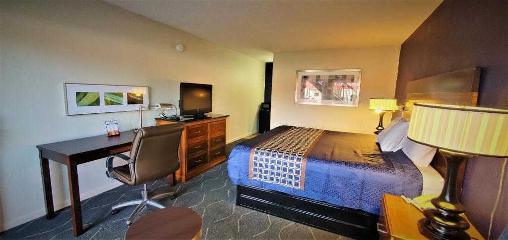 Economy 7 Inn- Newport News