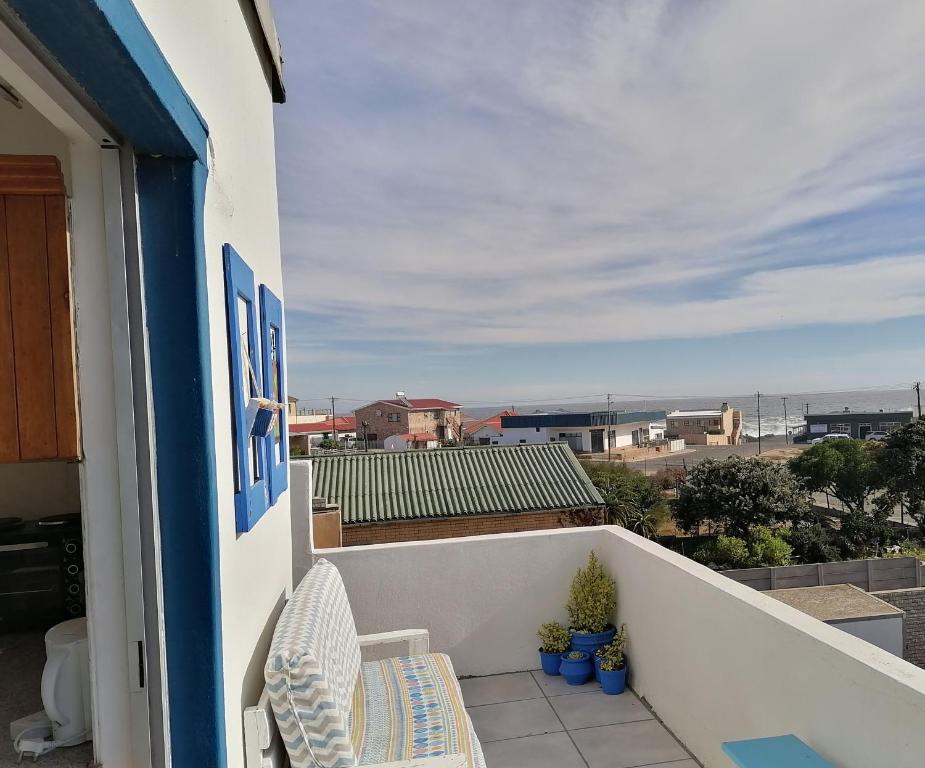 Bokkomblommetjie photo