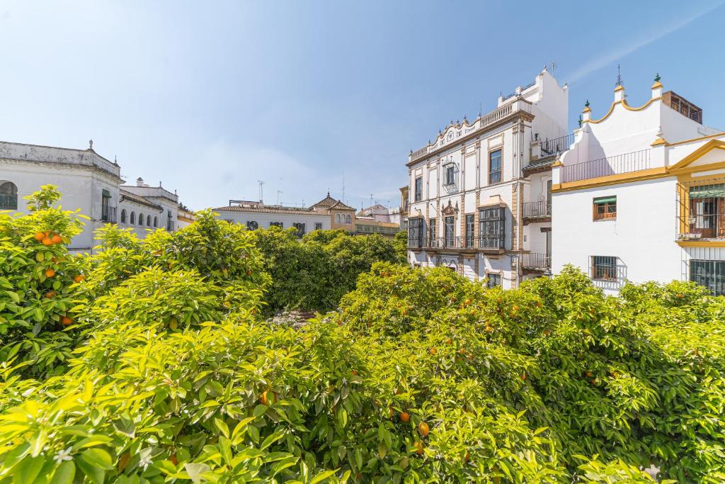 Rey Don Pedro Luxury Home photo