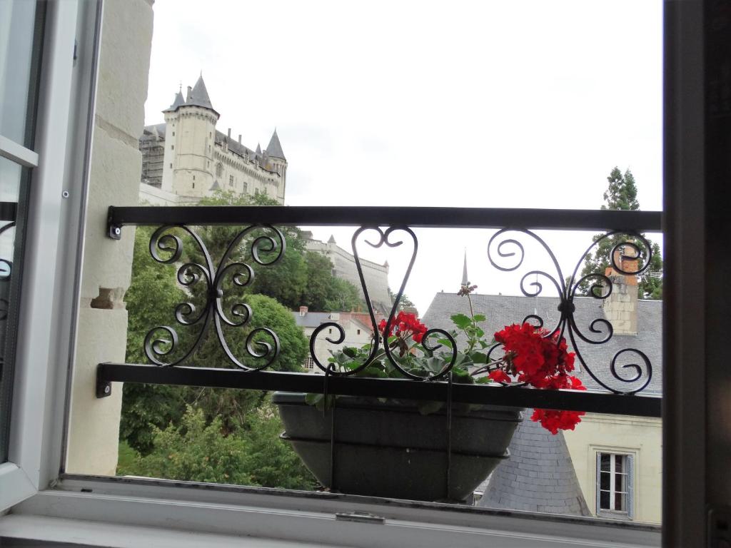 Vue splendide sur Chateau - 4