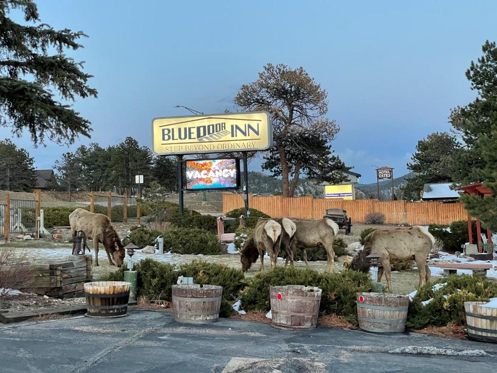 Blue Door Inn