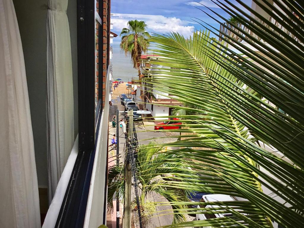 Pilitas Apartments Vallarta photo