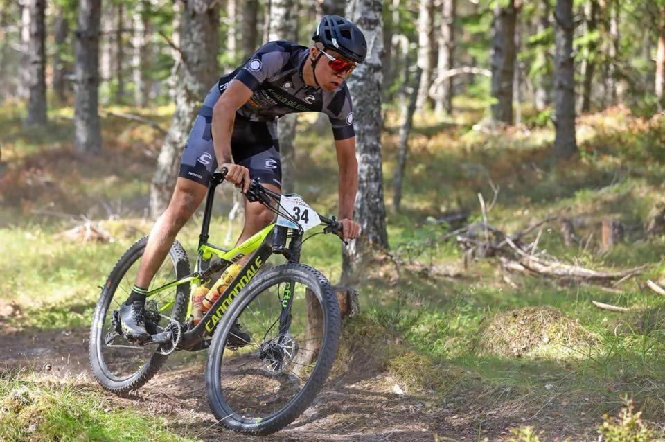 アクティビティ