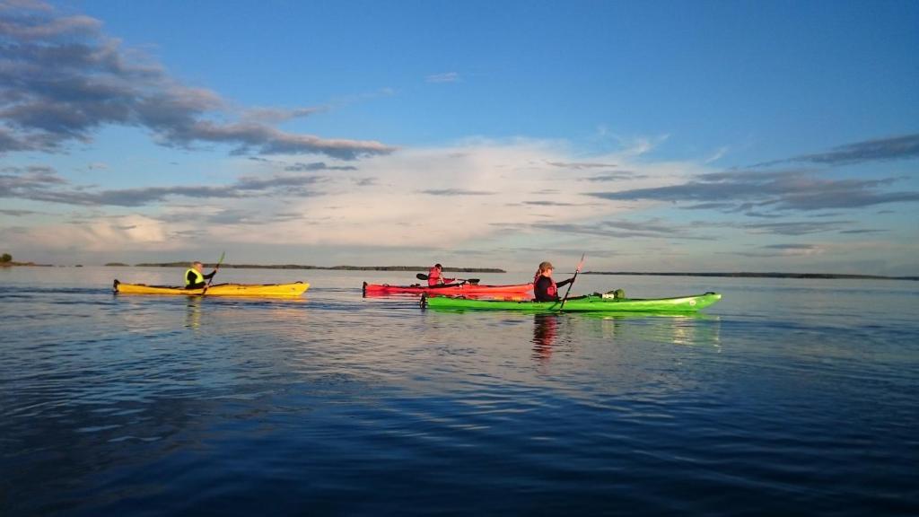 アクティビティ