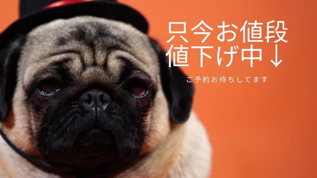 豊水すすきの駅から徒歩数分 Ik Minami 6 Jo Residence 101 Ik南6条レジデンス Apartment Sapporo