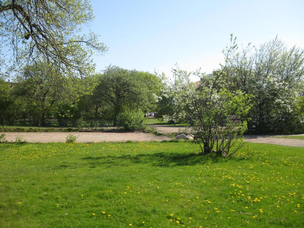 Surrounding environment