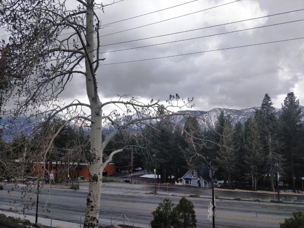 Ventura Grand Inn photo
