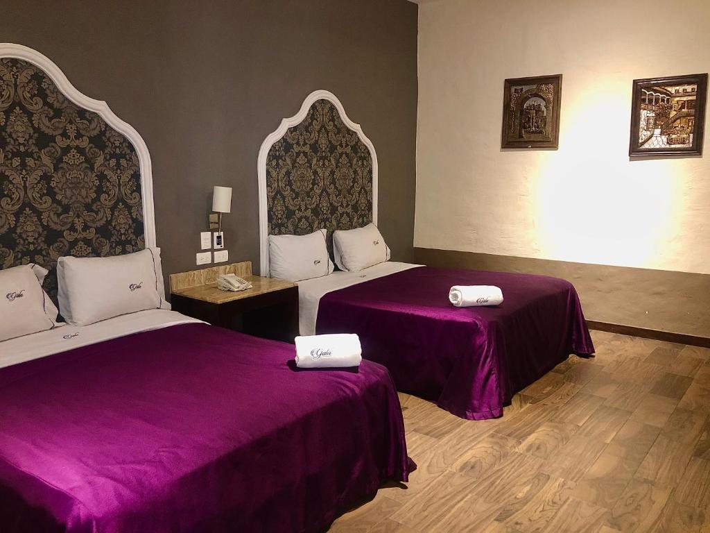 Hotel Gala - 5