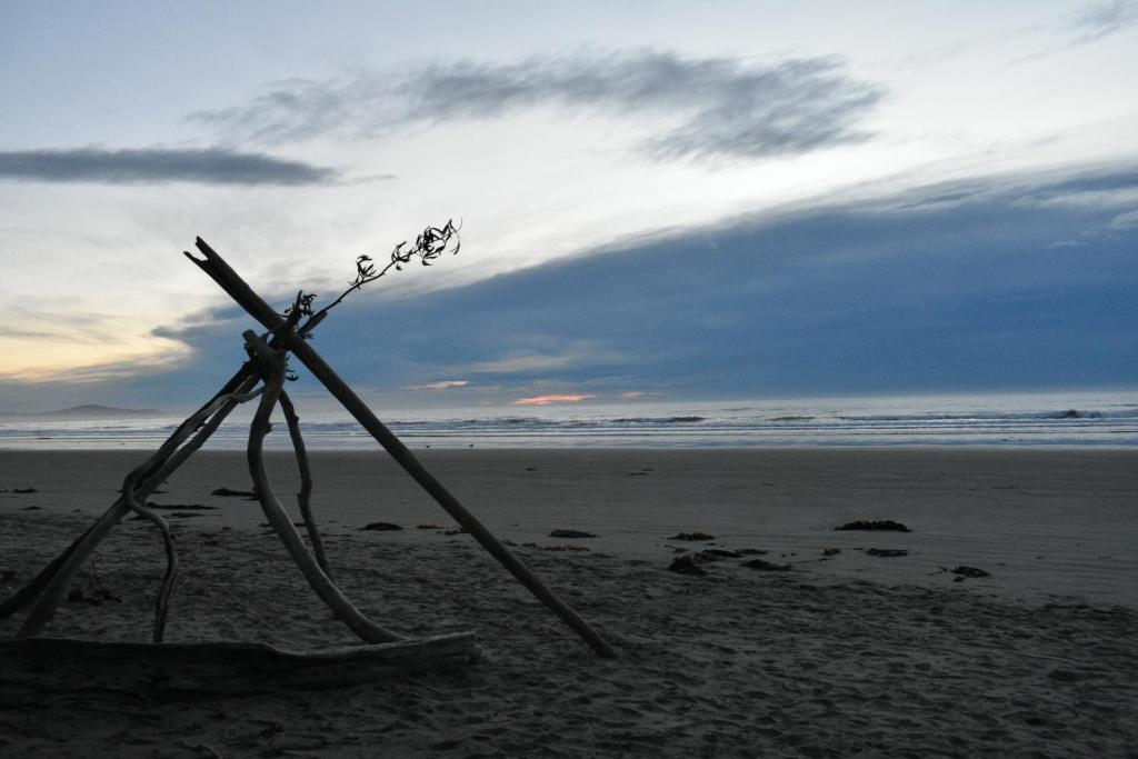 Moeraki Beach Motels photo