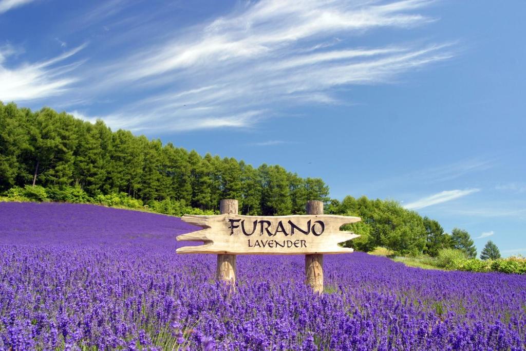 Furano Lofts & Chalet