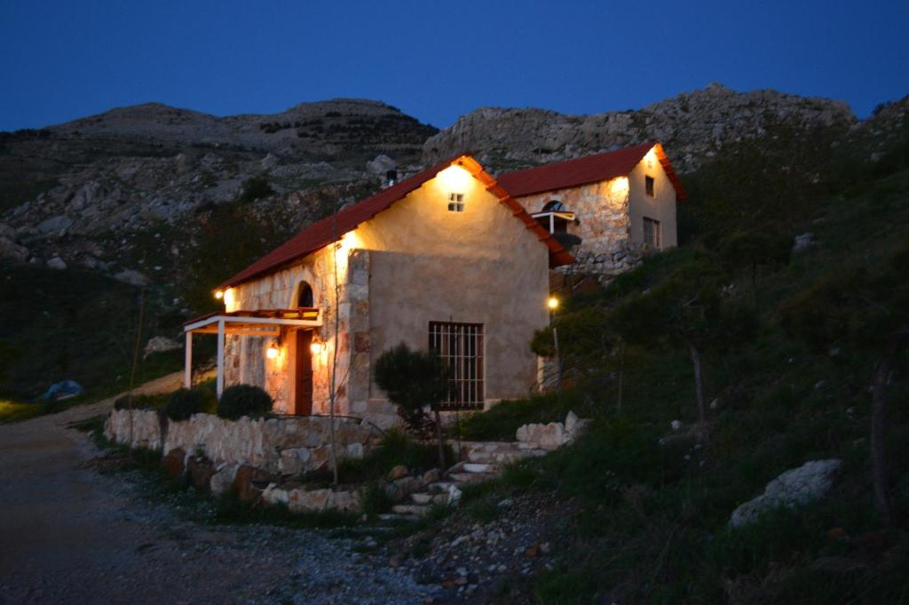Soha Village Resort photo