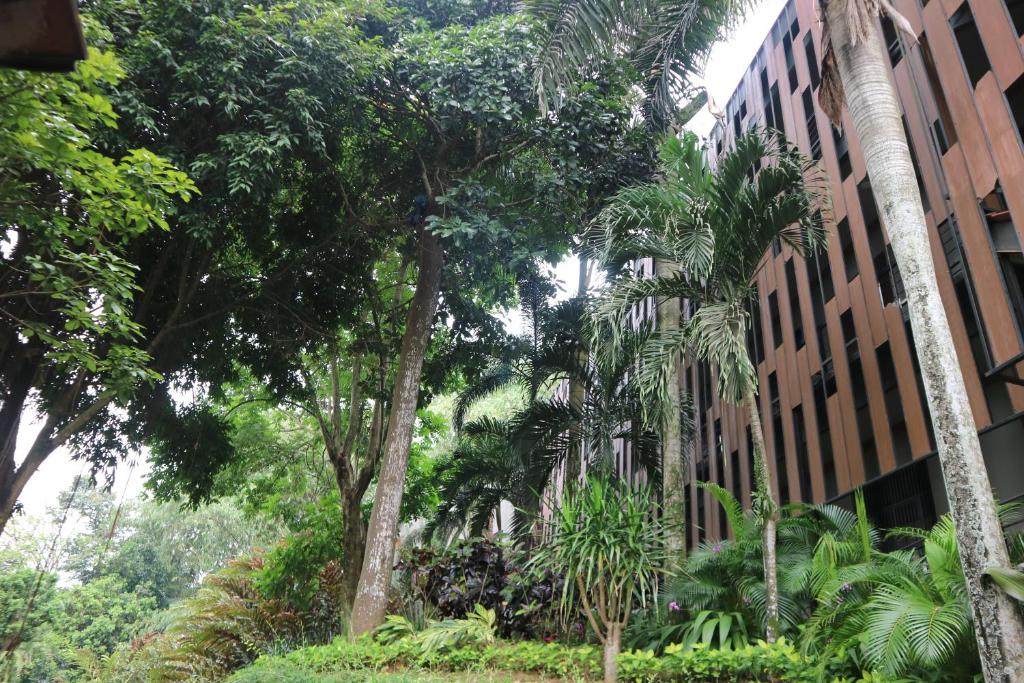 Exterior view