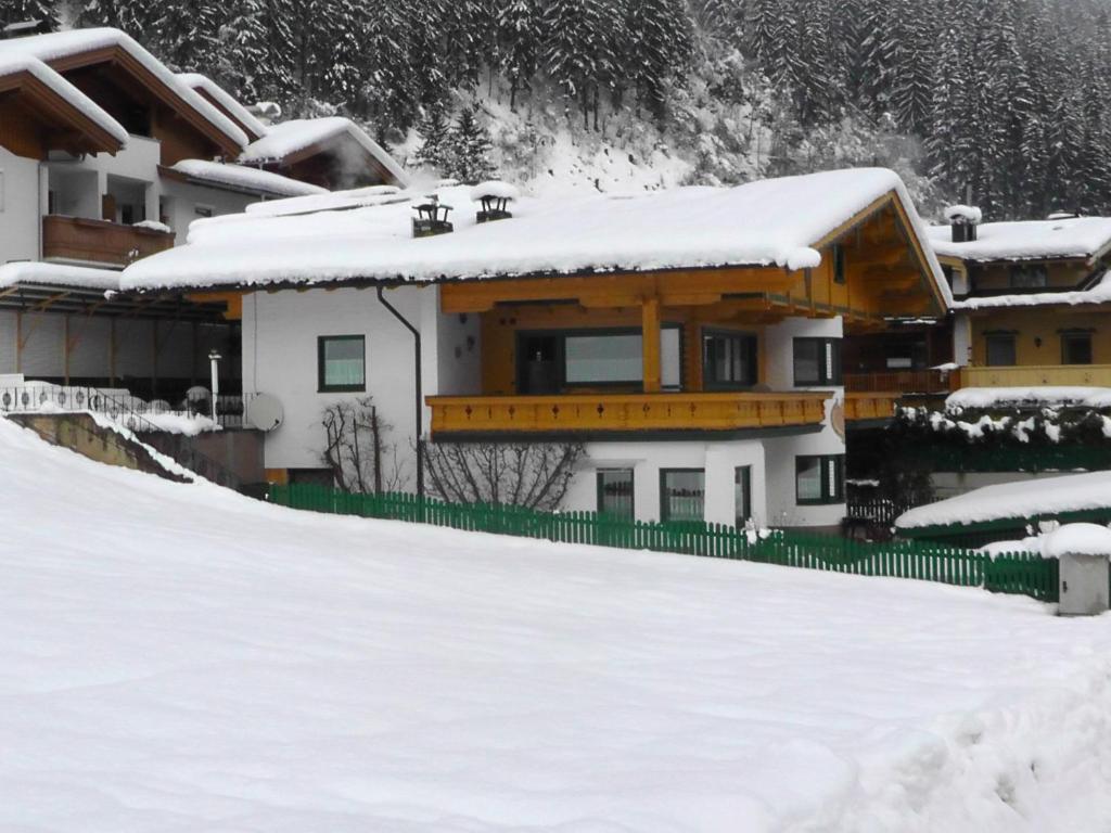 Appartementhaus Zillertal by PiaundDirk - 3