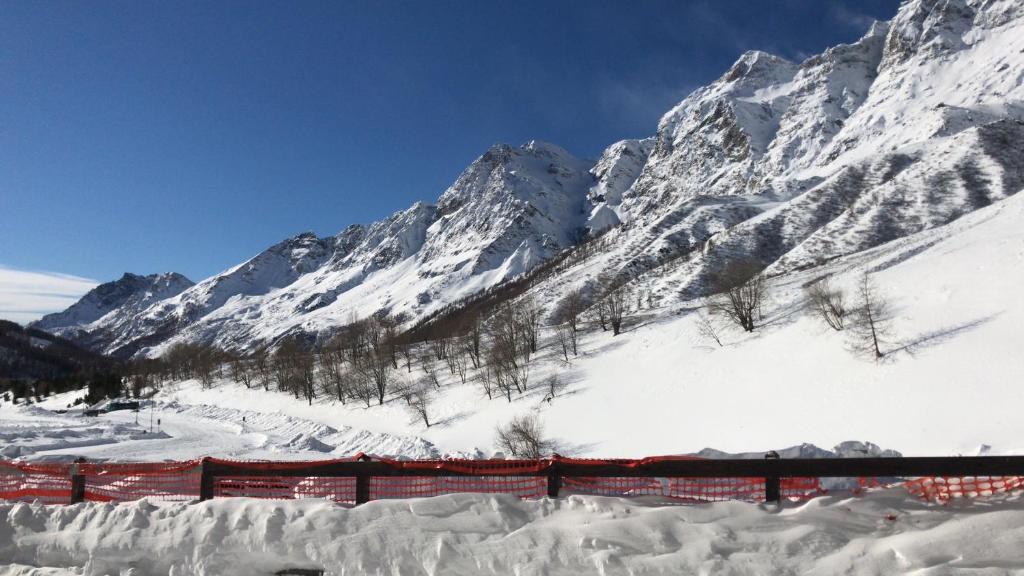 Chat des neiges - Cervinia - 2