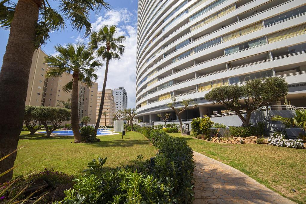Homeincalpe Apolo XIV - 4