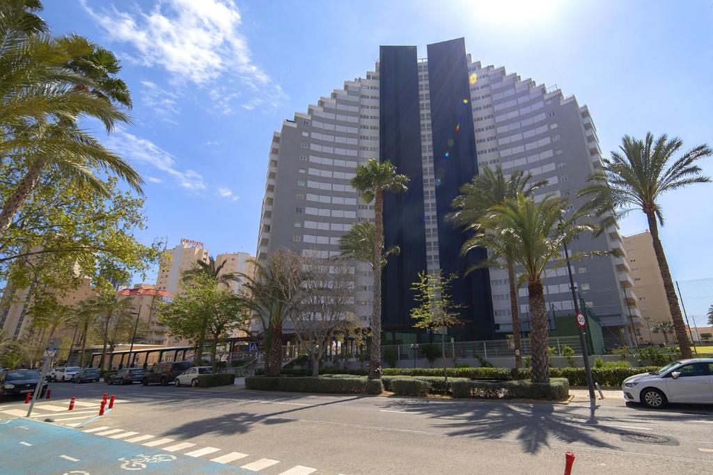 Homeincalpe Apolo XIV - 2